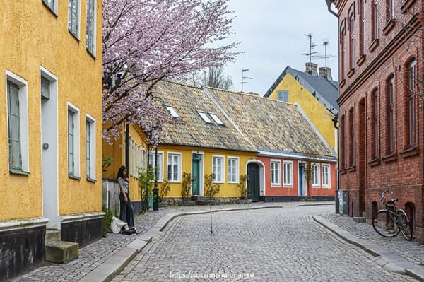 Bild från Lund